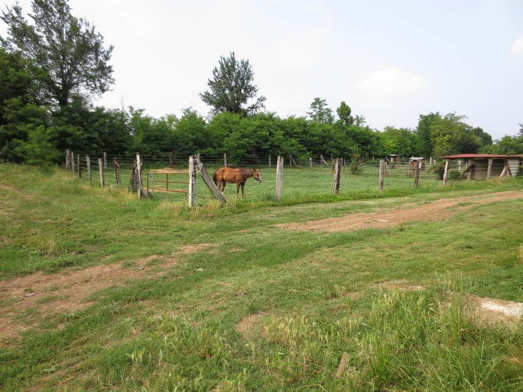 Agriturismo Parco Del Chiese Bedizzole エクステリア 写真