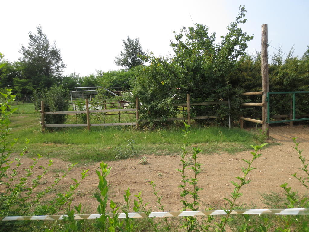 Agriturismo Parco Del Chiese Bedizzole エクステリア 写真