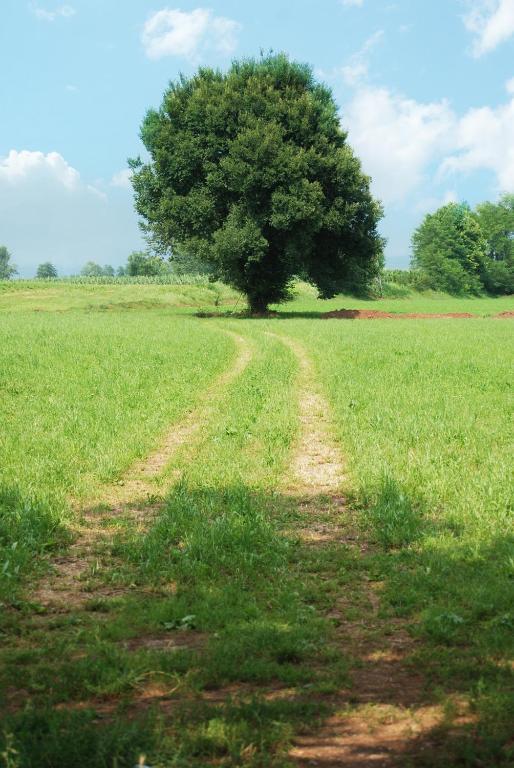 Agriturismo Parco Del Chiese Bedizzole エクステリア 写真