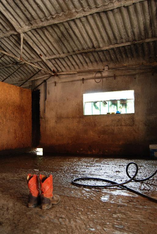 Agriturismo Parco Del Chiese Bedizzole エクステリア 写真