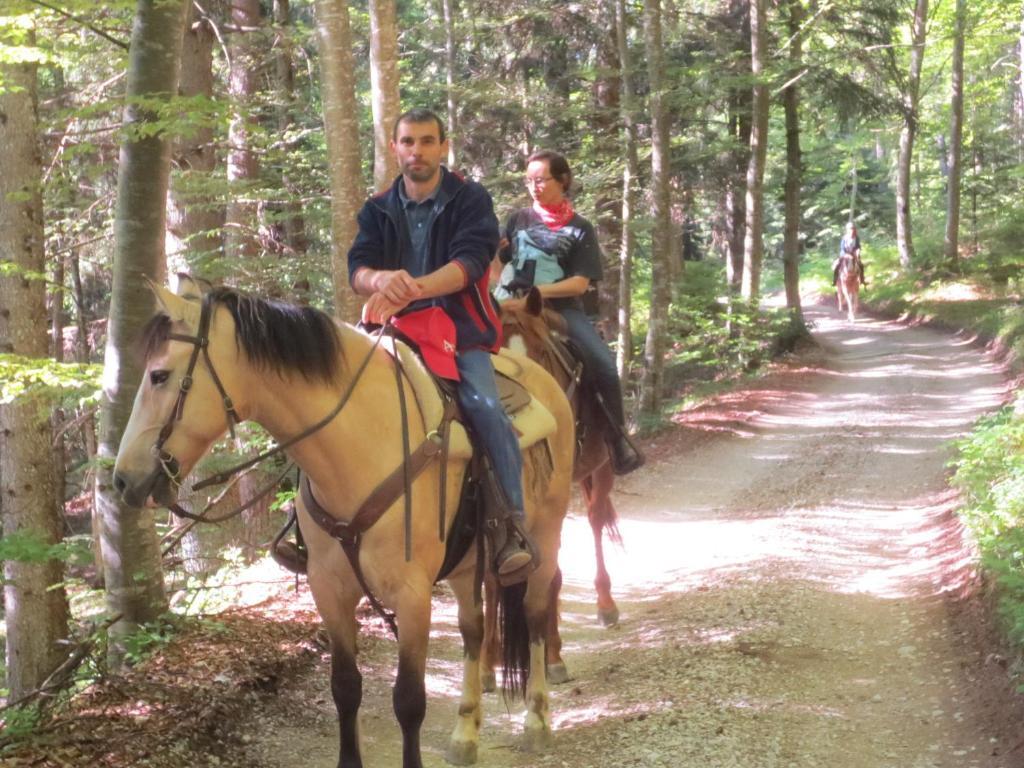 Agriturismo Parco Del Chiese Bedizzole エクステリア 写真