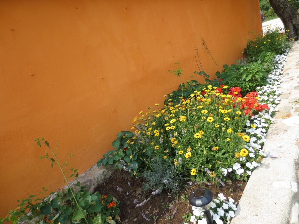Agriturismo Parco Del Chiese Bedizzole エクステリア 写真